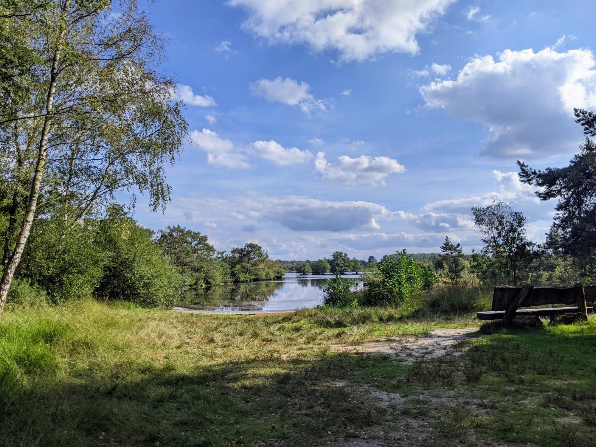 Sfeervol Chaletje In Een Rustige Bosrijke Omgeving Diessen ภายนอก รูปภาพ