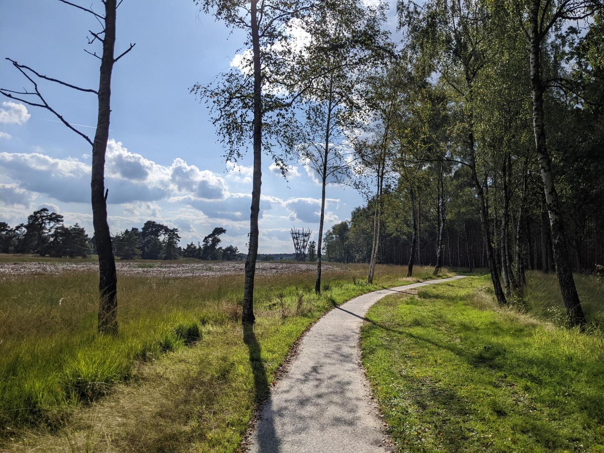 Sfeervol Chaletje In Een Rustige Bosrijke Omgeving Diessen ภายนอก รูปภาพ